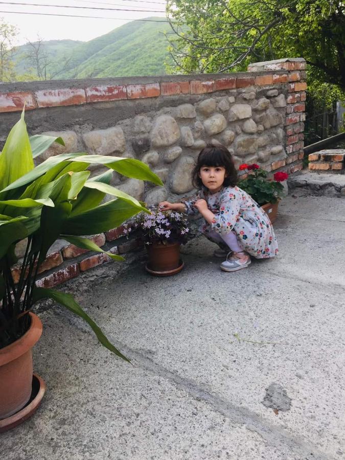 Guest House Babaka Sighnaghi Exterior foto
