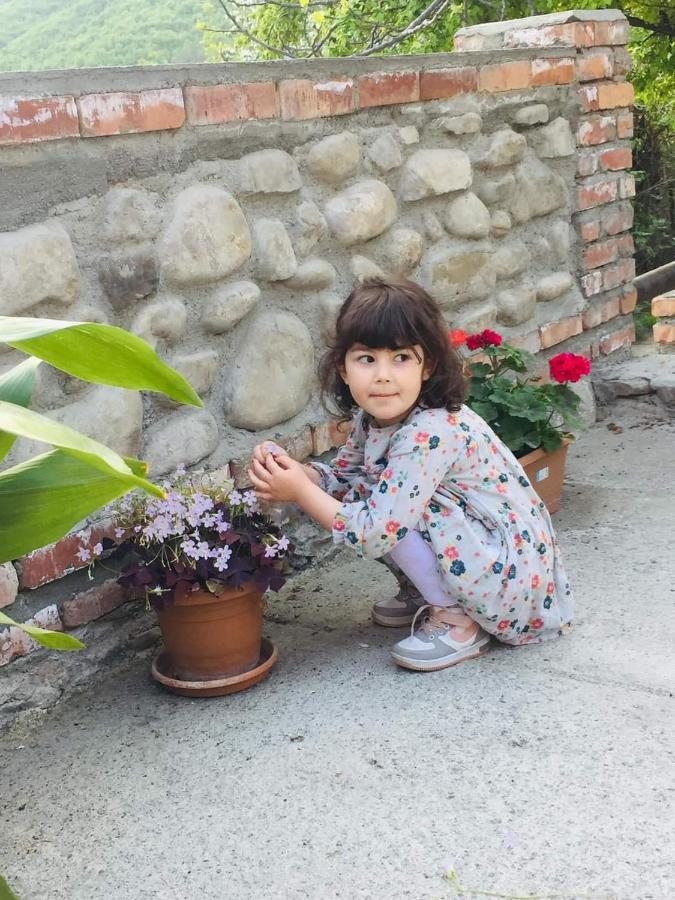 Guest House Babaka Sighnaghi Exterior foto